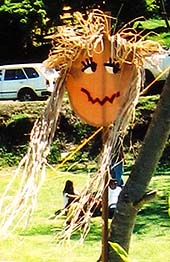 An easy novelty scarecrow