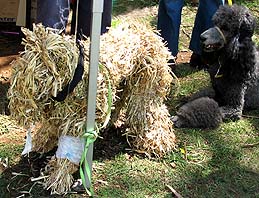 Another dog scarecrow