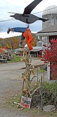 hijacked scarecrow