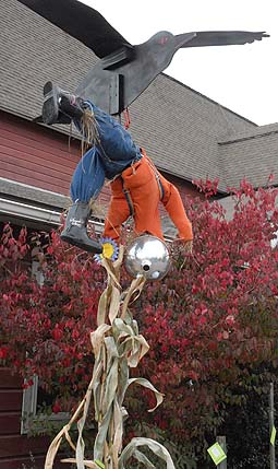 scarecrow carried off by crow