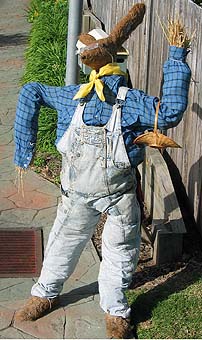 A dressed up rabbit scarecrow